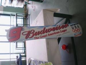 View oem production div. rollerski's